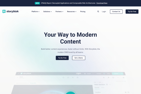 storyblok-vue